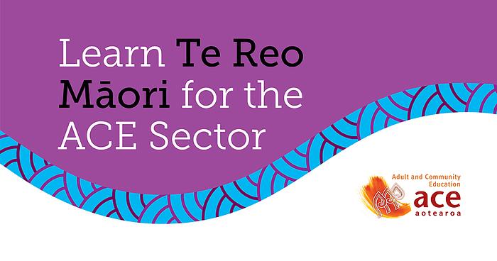Learn Te Reo Māori for the ACE Sector- He Aha Tāu? - Enhance Your Te Reo Skills and Cultural Awareness logo